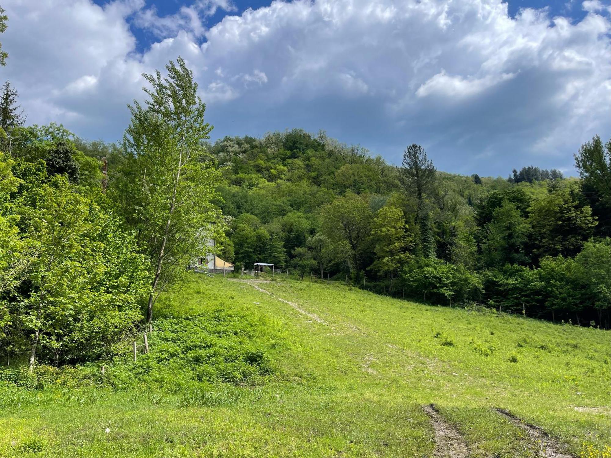 Contea Del Piano Villa Piteglio Екстериор снимка