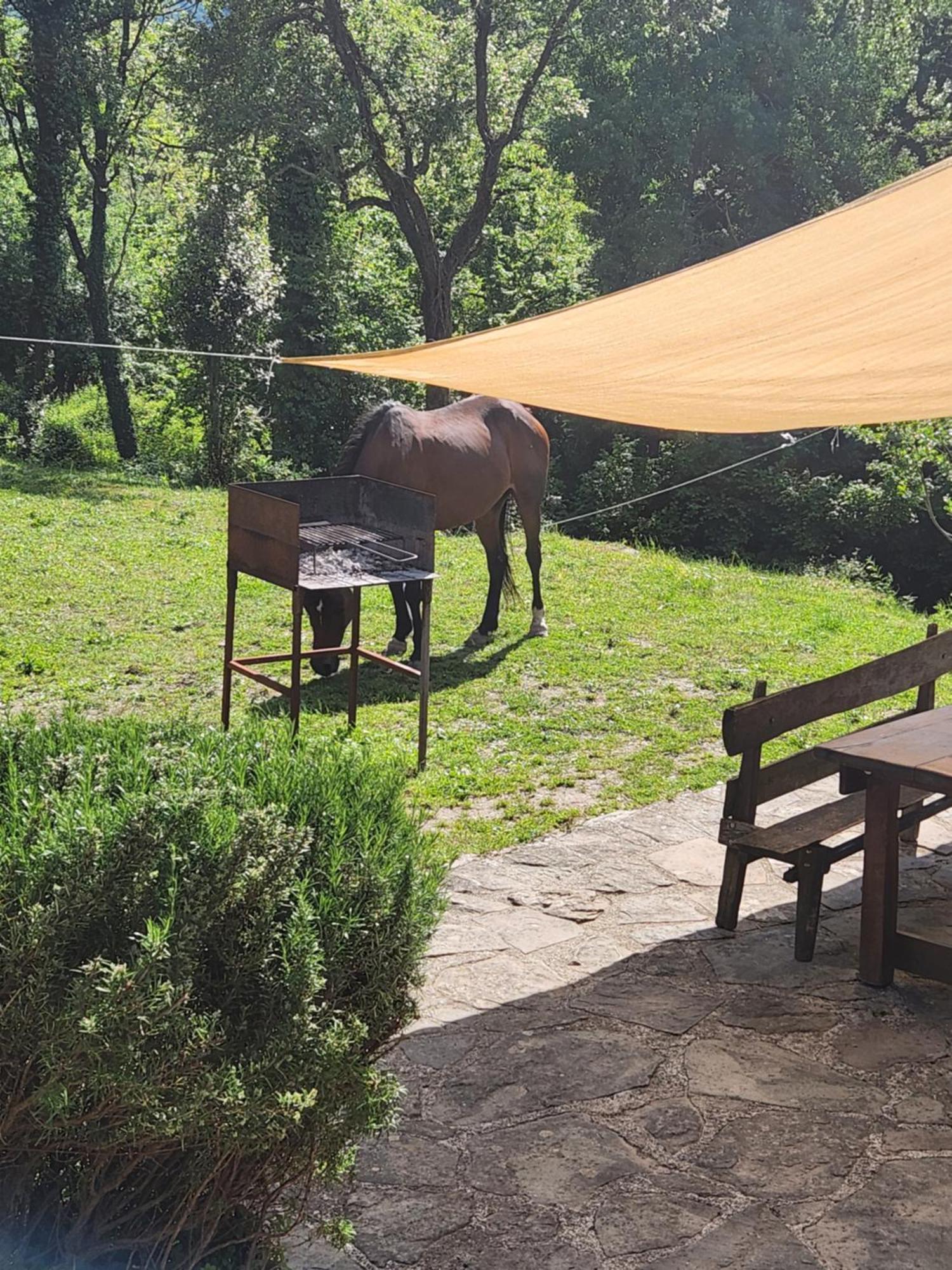 Contea Del Piano Villa Piteglio Екстериор снимка